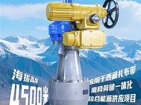 4500米！良固閥門集團(tuán)服務(wù)全球海拔最高的光熱電站
